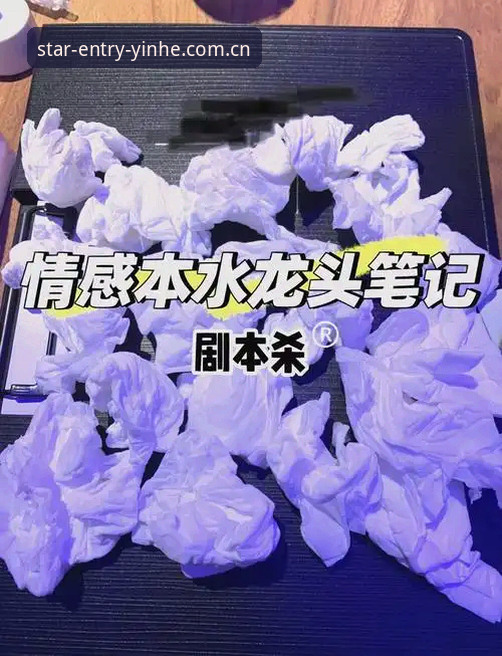 银河官方网站安装教程 深度体验分享:银河官方网站安装教程与使用心得,资深玩家王磊的实战经验